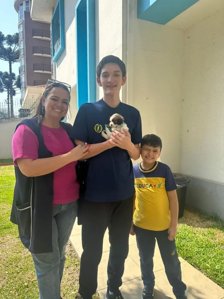 filhote de lhasa apso, cão hipoalergenico