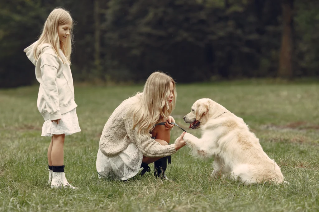 Golden Retriever com uma criança com autismo em um ambiente familiar