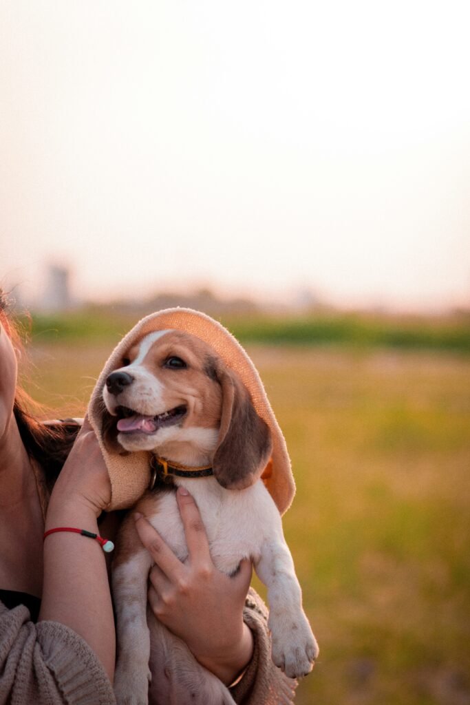 tutor abraçado com seu filhote de beagle